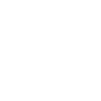 arrive-luggage